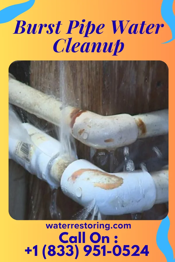 Burst Pipe Water Cleanup in Faith, NC