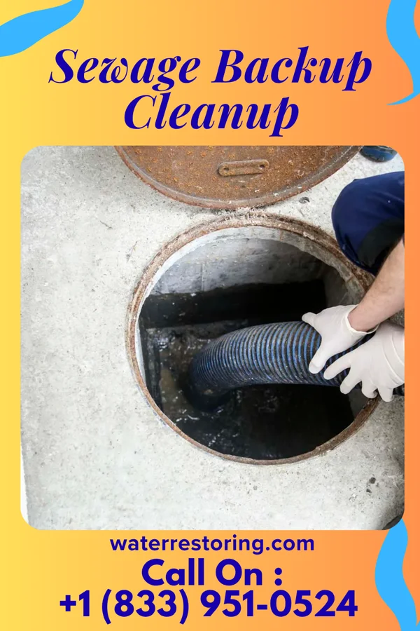 Sewage Backup Cleanup in Faith, NC