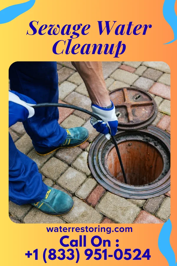 Sewage Water Cleanup in Faith, NC