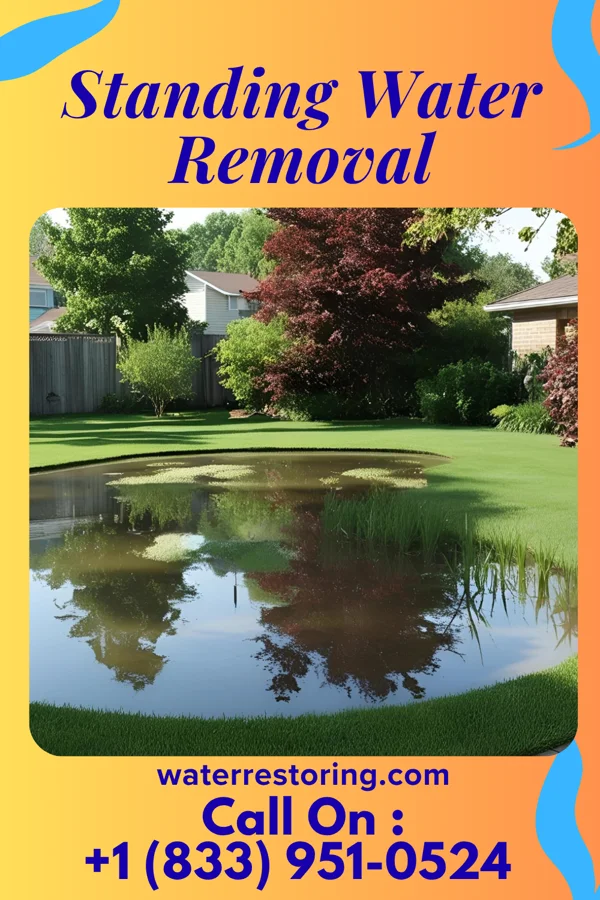 Standing Water Removal in Faith, NC